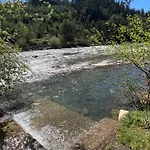 Quinta-lina De 3* Serpins