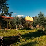 Quinta-lina De 3* Serpins
