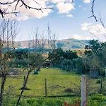 Quinta-lina De Serpins