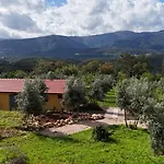 Quinta-lina De 3* Serpins