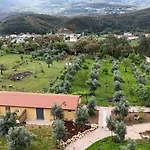 Quinta-lina De 3* Serpins