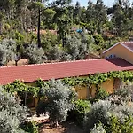 Quinta-lina De