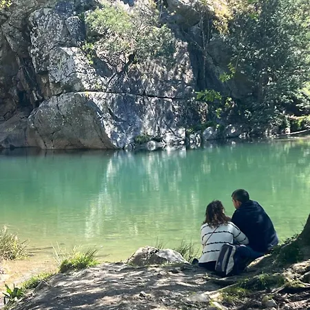 Quinta-lina De Serpins