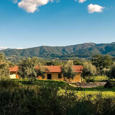 Quinta-lina De 3*