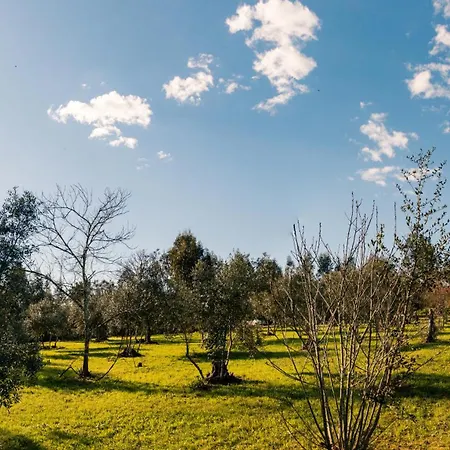 Quinta-lina De شقة فندقية 3*