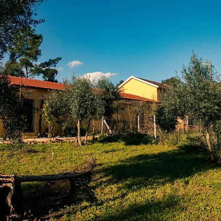 Quinta-lina De 3* Serpins