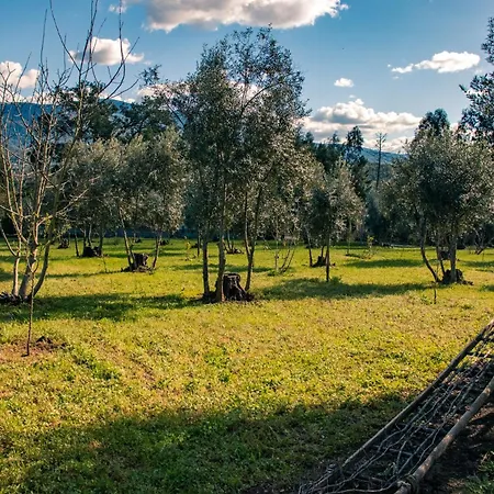 Lejlighedshotel Quinta-lina De Serpins