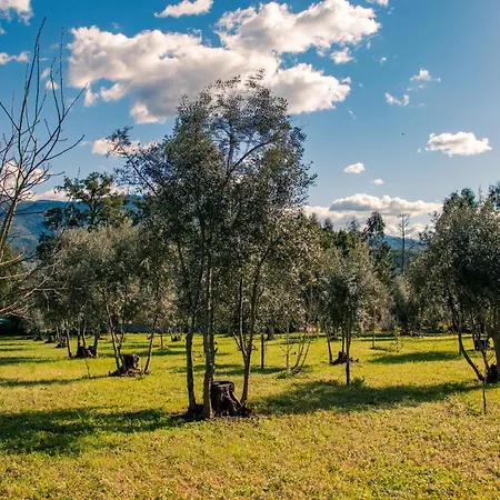 Quinta-lina De Lejlighedshotel Serpins