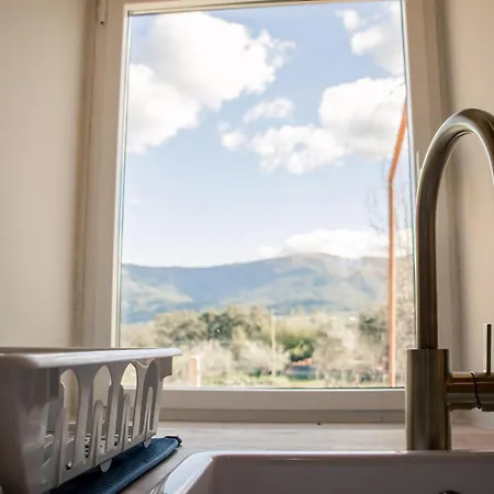 Quinta-lina De 3* Serpins