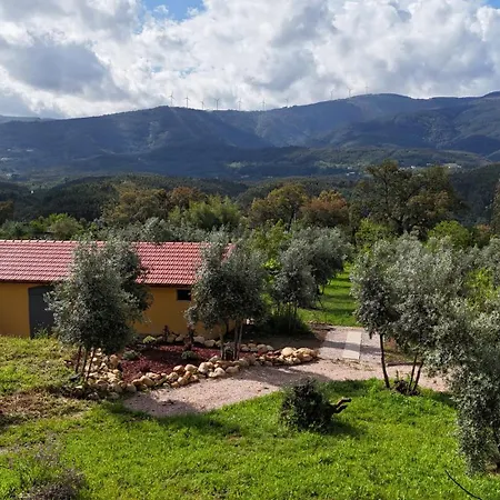 Quinta-lina De 3* Serpins