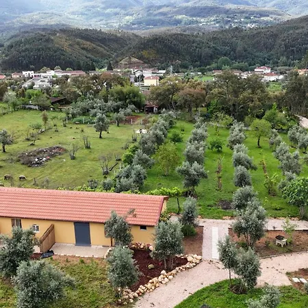 Quinta-lina De 3* Serpins