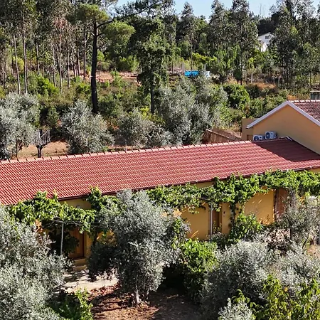 Quinta-lina De