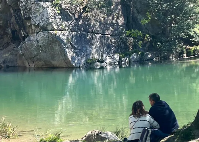 Quinta-lina De Serpins