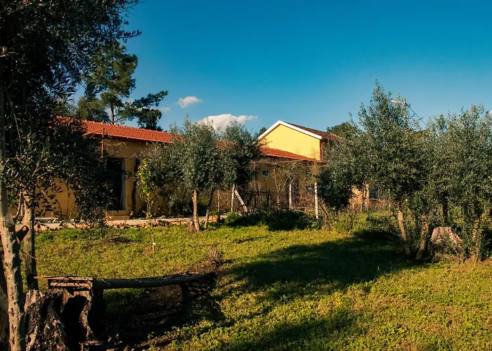 Quinta-lina De 3* Serpins