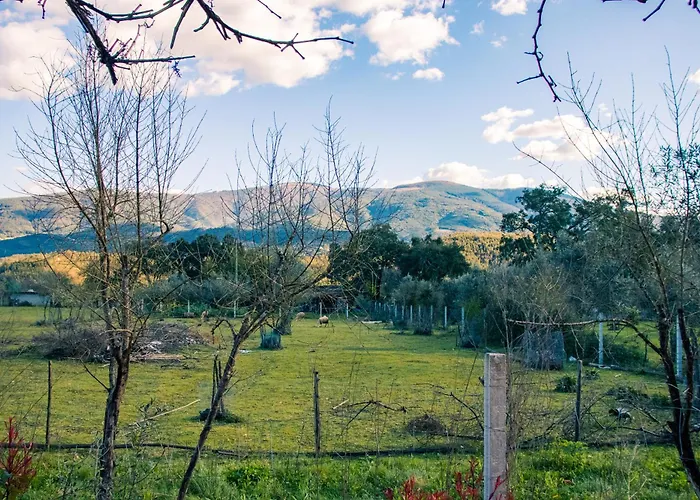 Quinta-lina De Serpins