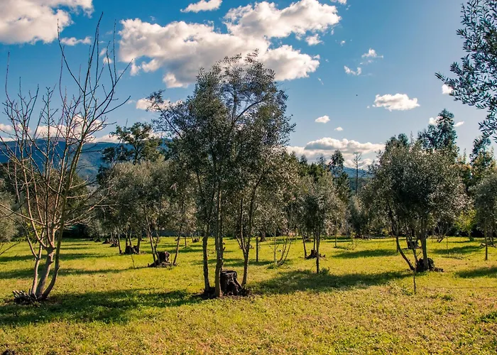 Quinta-lina De Apart-hotel Serpins