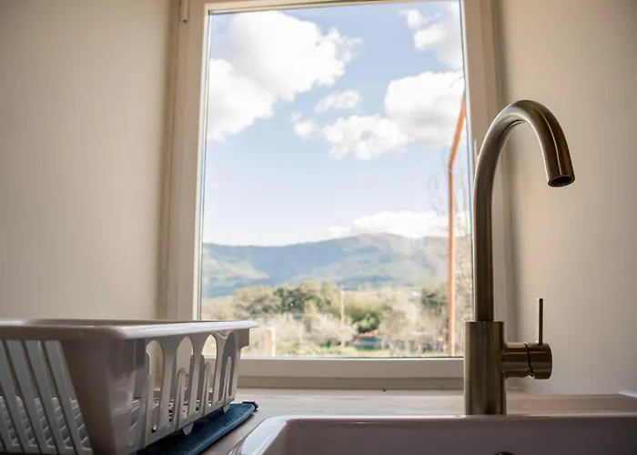 Quinta-lina De 3* Serpins