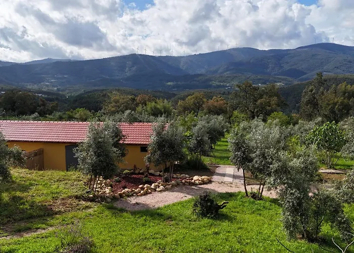 Quinta-lina De 3* Serpins