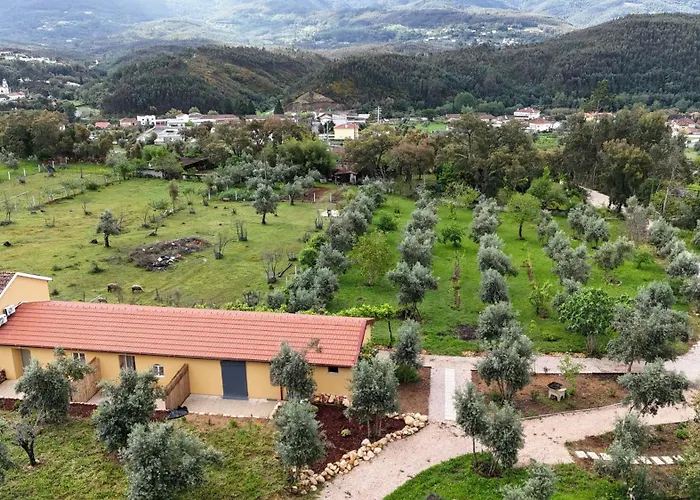 Quinta-lina De 3* Serpins