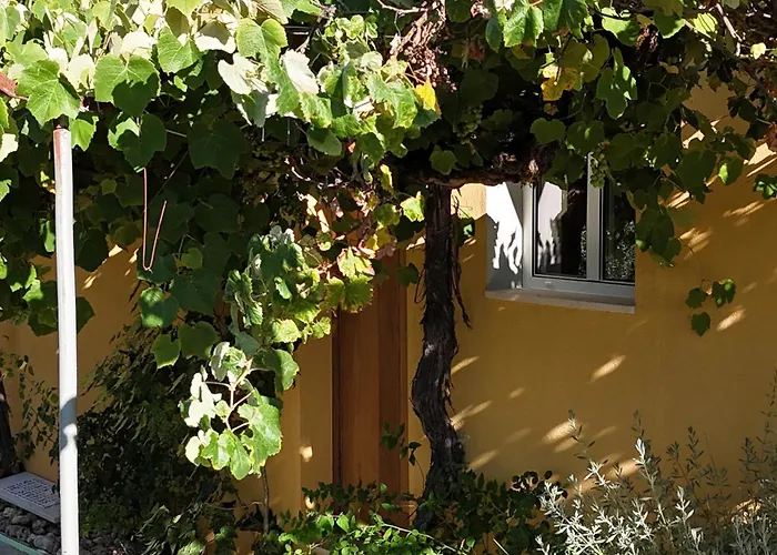 Aparthotel Quinta-lina De Serpins
